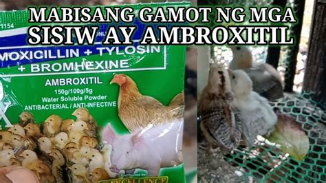 gamot sa sisiw na hindi natunawan|natural na paraan ng paggamot sa sakit/di natunawan na sisiw 2 .